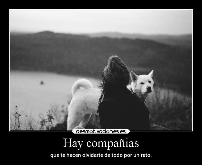 Hay compañias - 