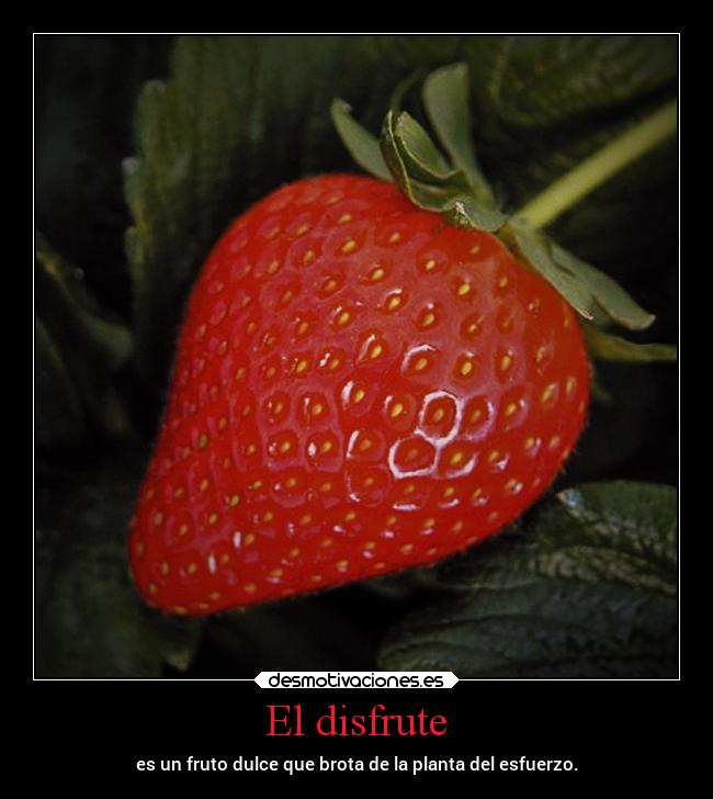 El disfrute -
