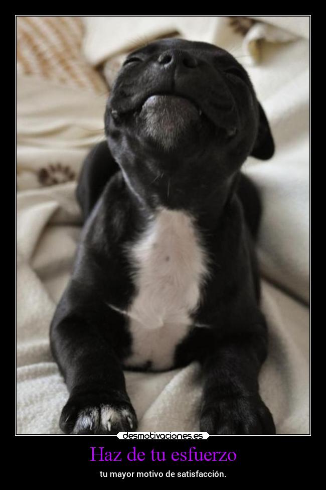 Haz de tu esfuerzo - tu mayor motivo de satisfacción.