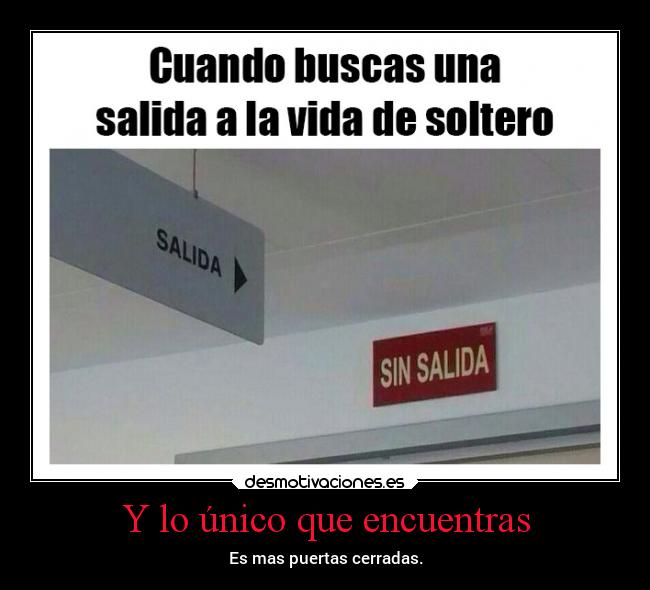 Y lo único que encuentras -