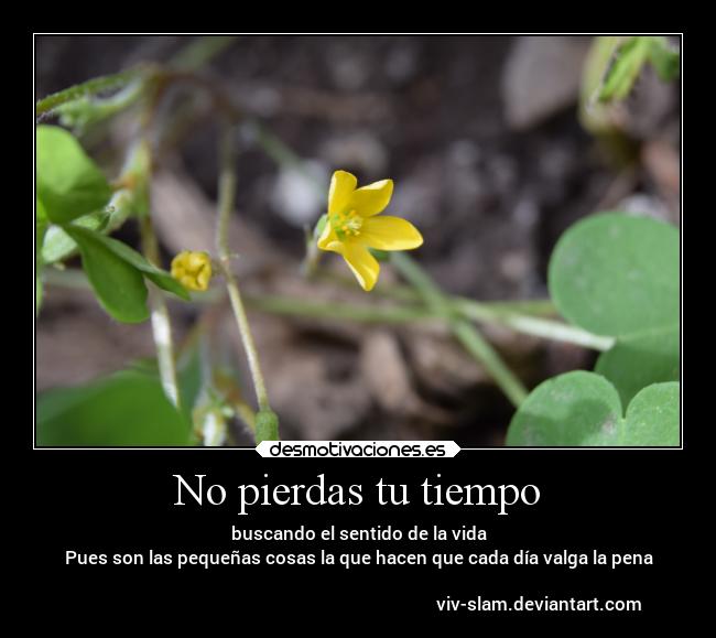 No pierdas tu tiempo -