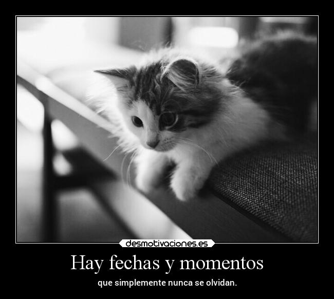 Hay fechas y momentos - 