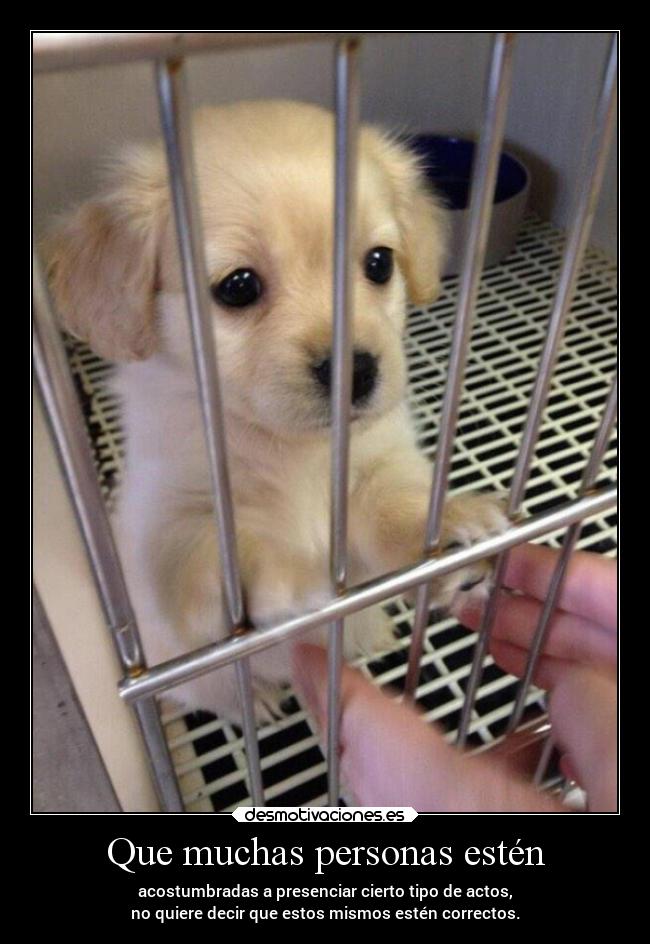 Que muchas personas estén - 