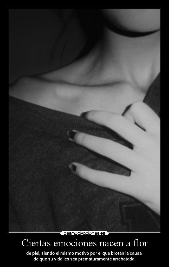 Ciertas emociones nacen a flor -