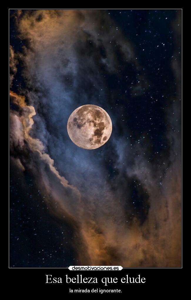 Esa belleza que elude - 