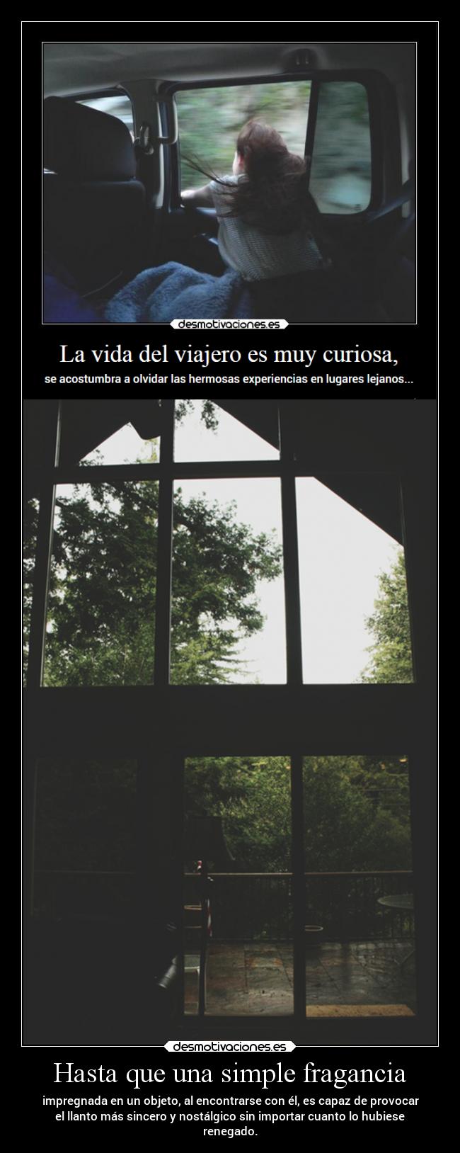 Hasta que una simple fragancia - 