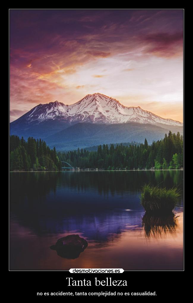 Tanta belleza - no es accidente, tanta complejidad no es casualidad.