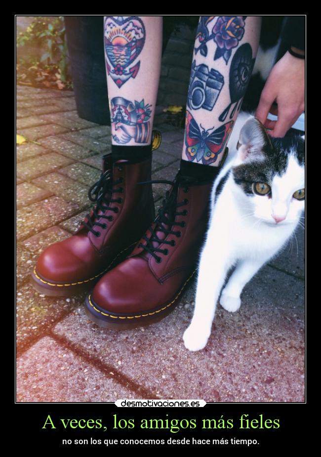A veces, los amigos más fieles - 