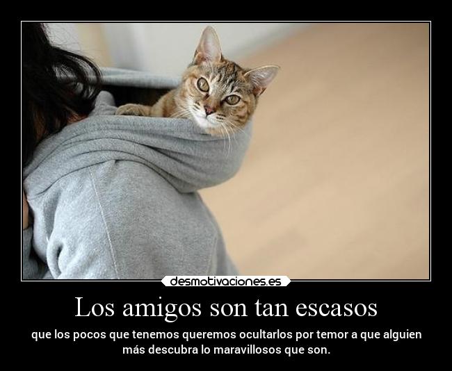 Los amigos son tan escasos -