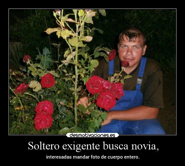 Soltero exigente busca novia, -
