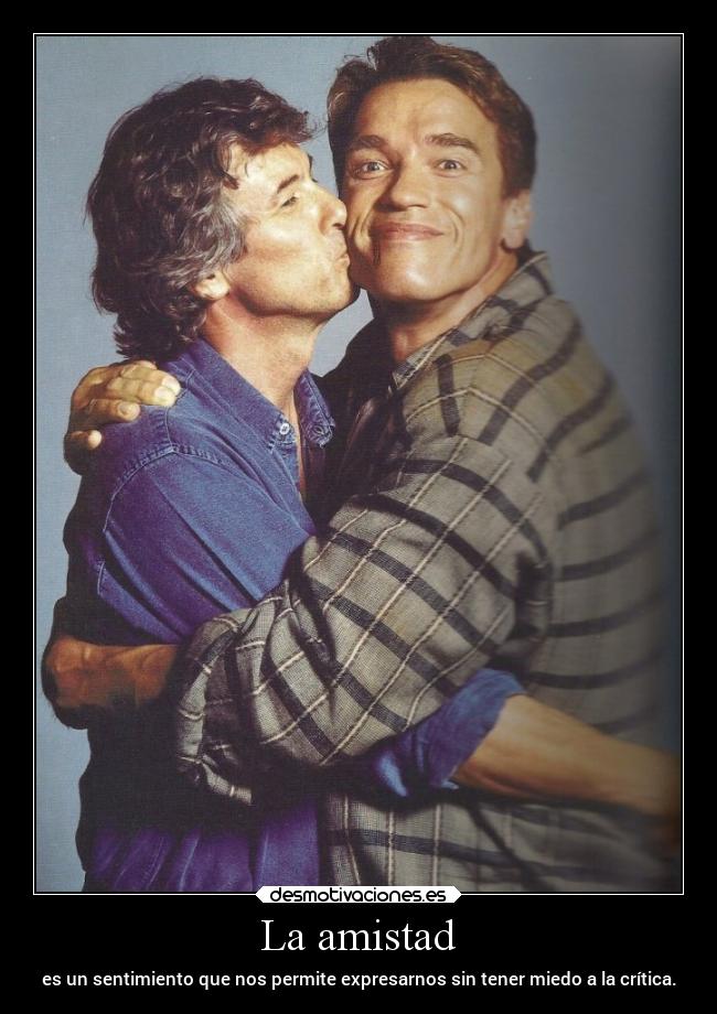 La amistad - es un sentimiento que nos permite expresarnos sin tener miedo a la crítica.