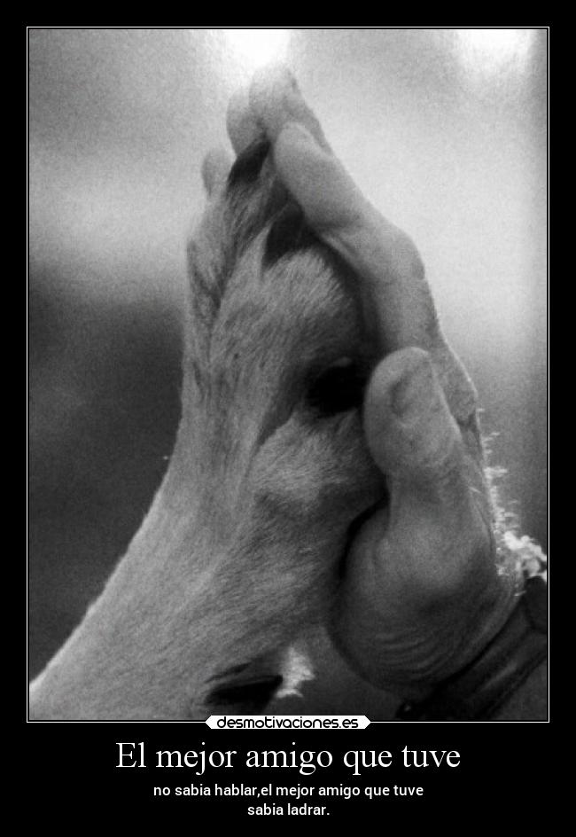 El mejor amigo que tuve - no sabia hablar,el mejor amigo que tuve
sabia ladrar.