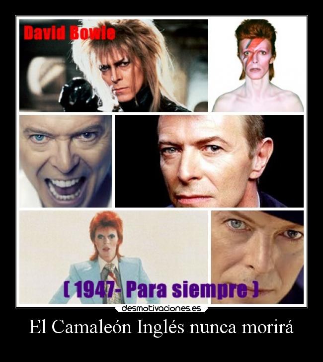 El Camaleón Inglés nunca morirá -
