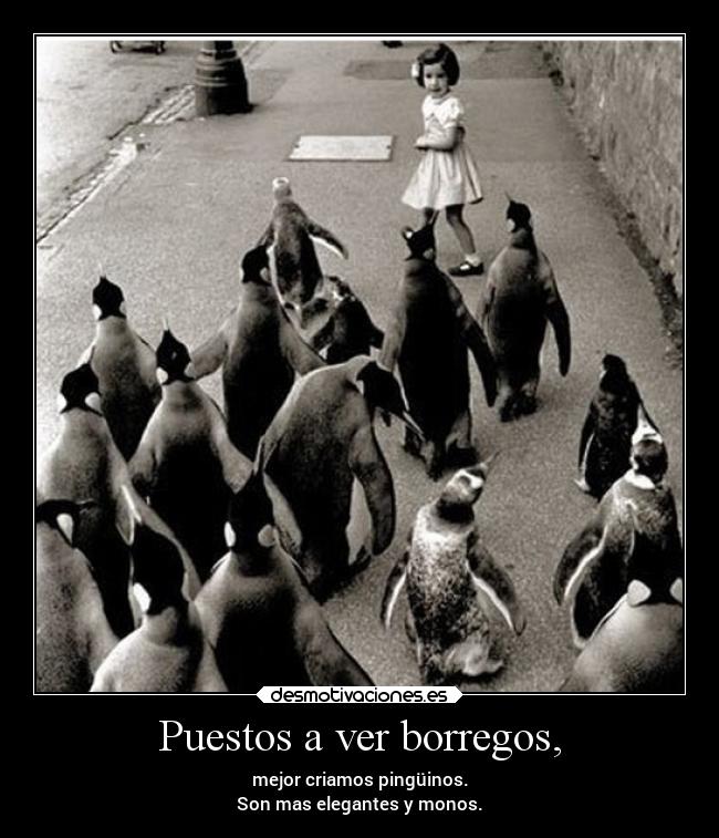 Puestos a ver borregos, -