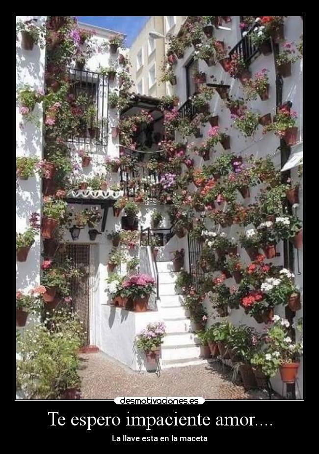 Te espero impaciente amor.... -