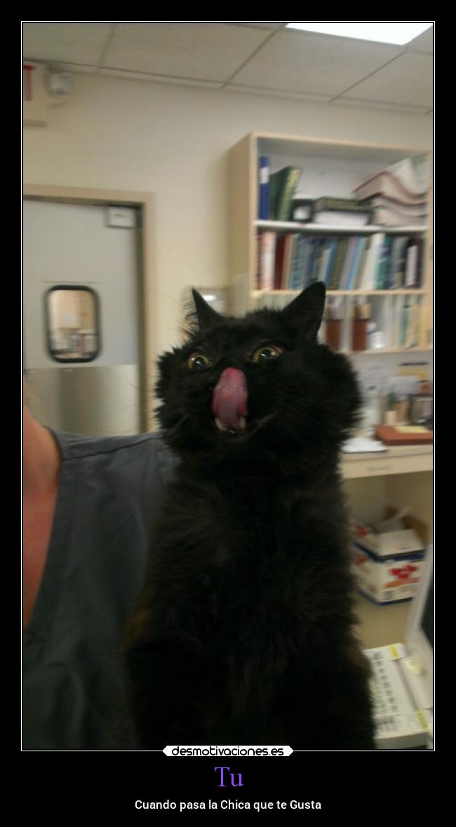 Tu - Cuando pasa la Chica que te Gusta