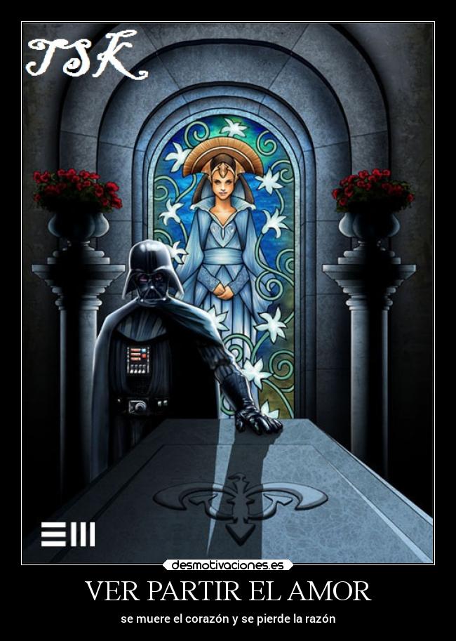 VER PARTIR EL AMOR - 