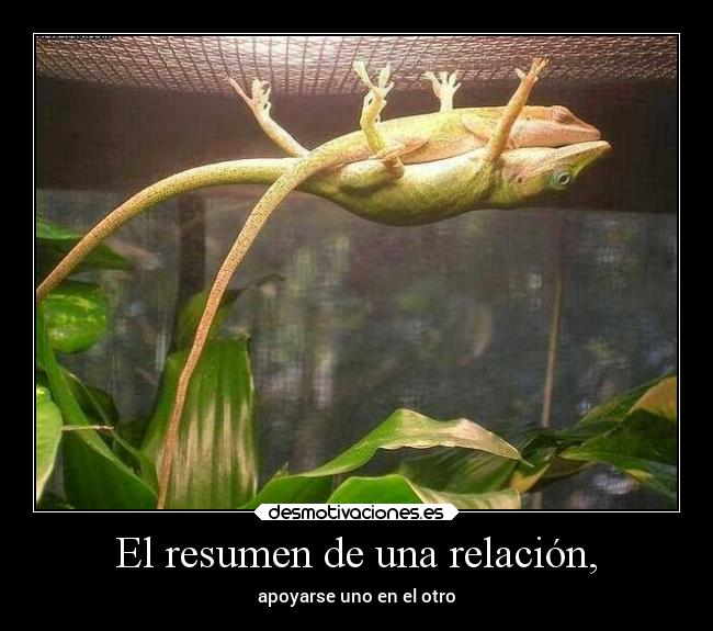 El resumen de una relación, - 