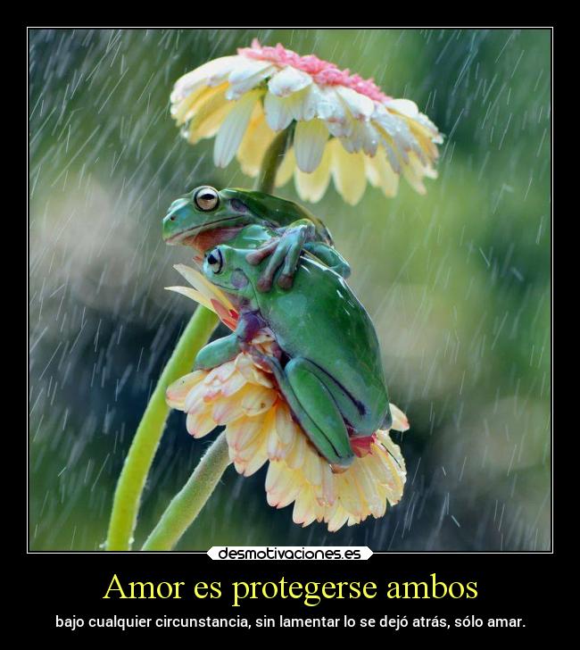 Amor es protegerse ambos - 
