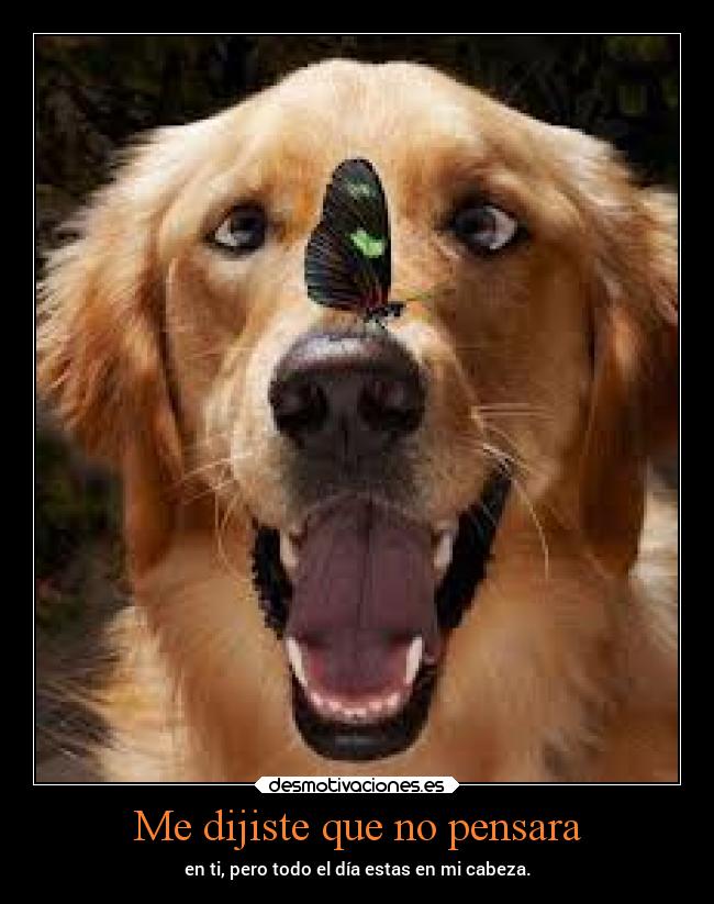 Me dijiste que no pensara - en ti, pero todo el día estas en mi cabeza.