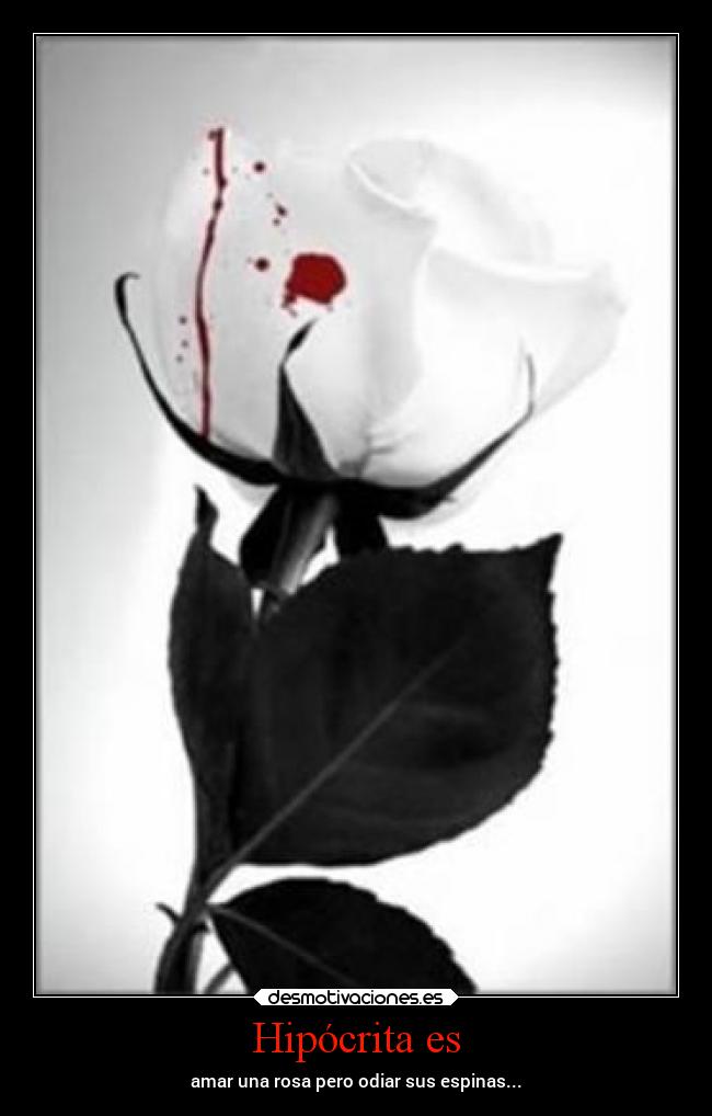Hipócrita es - amar una rosa pero odiar sus espinas...