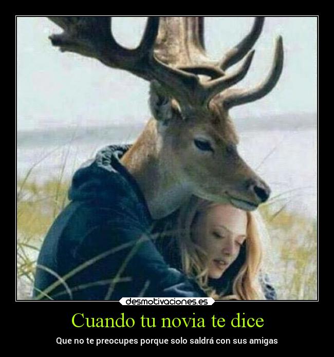 carteles amor novia salir amigas cachos cuernos astas desmotivaciones