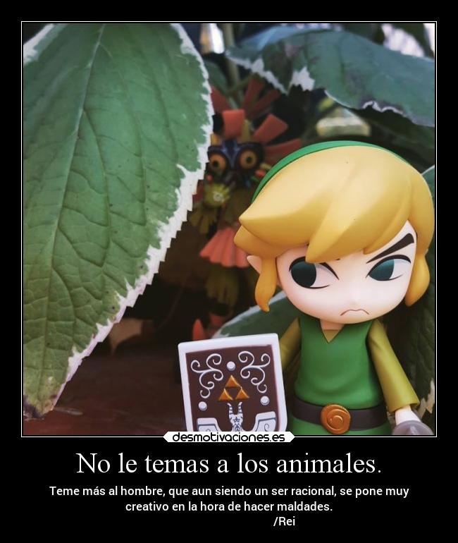 No le temas a los animales. - 