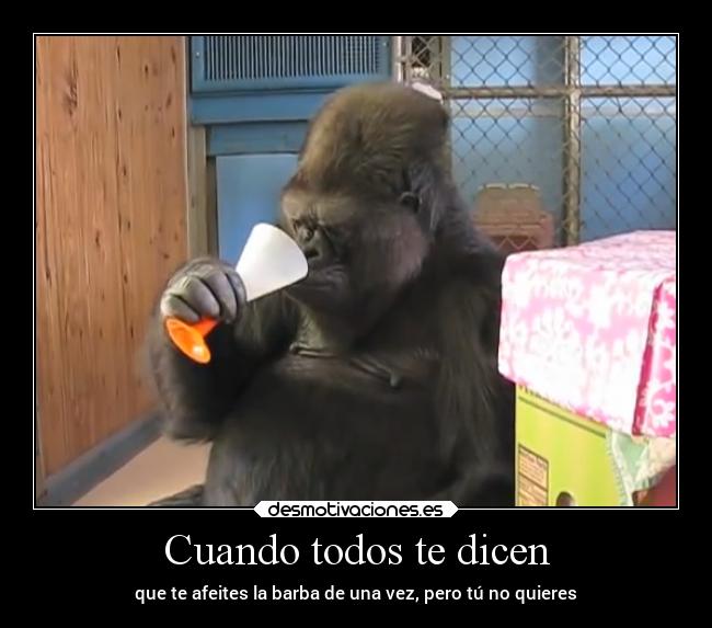 Cuando todos te dicen - 