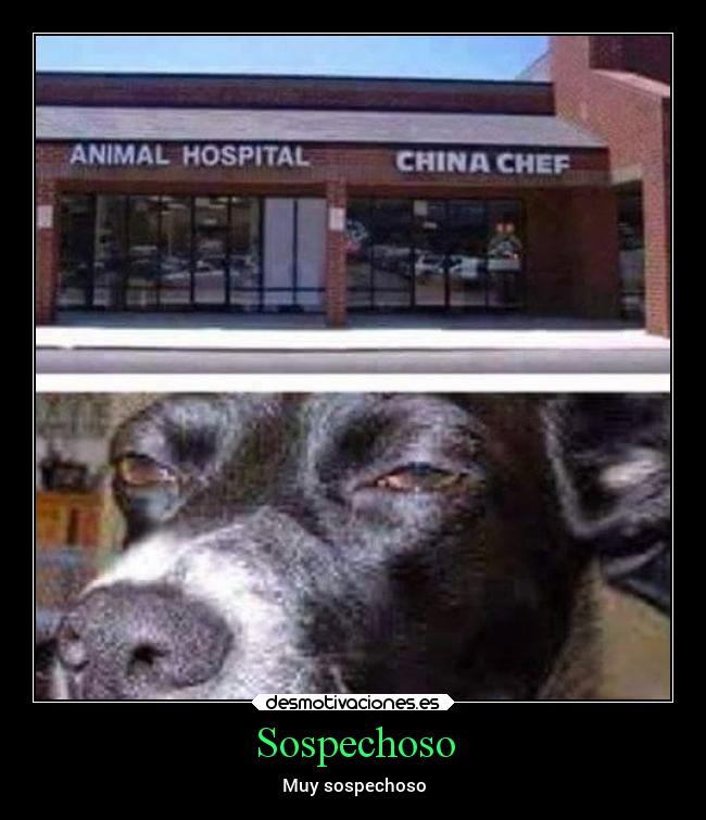 Sospechoso - Muy sospechoso