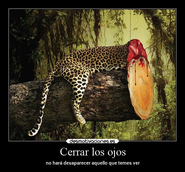 carteles animales deforestacion medioambiente cuidar ojos cerrar desaparecer temer desmotivaciones