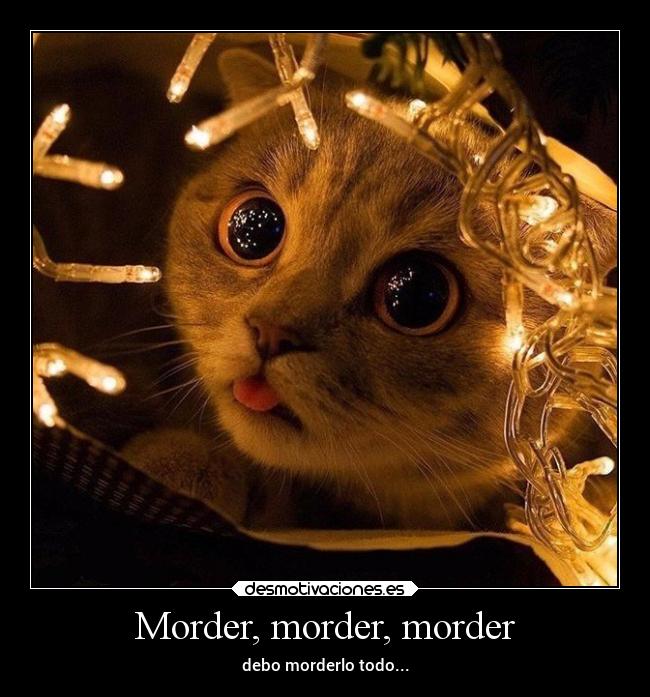 Morder, morder, morder - debo morderlo todo...