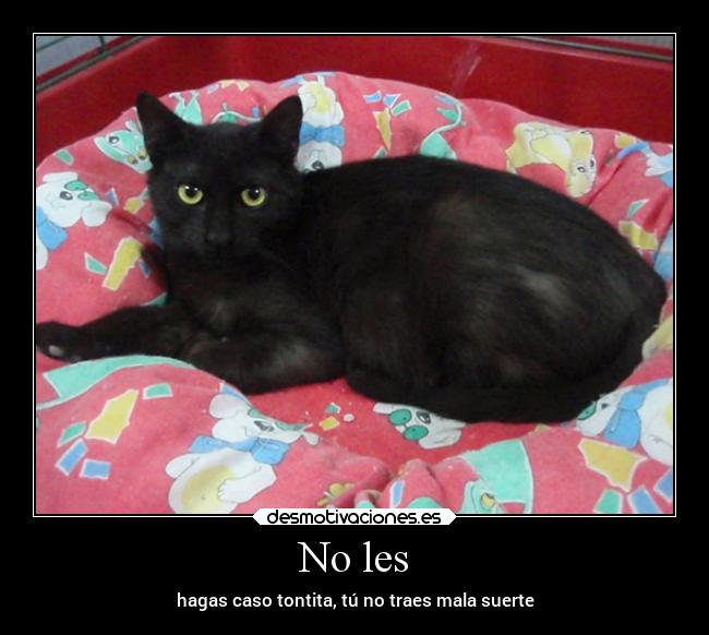 No les - 