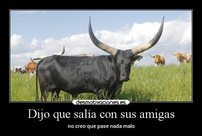 Dijo que salía con sus amigas -