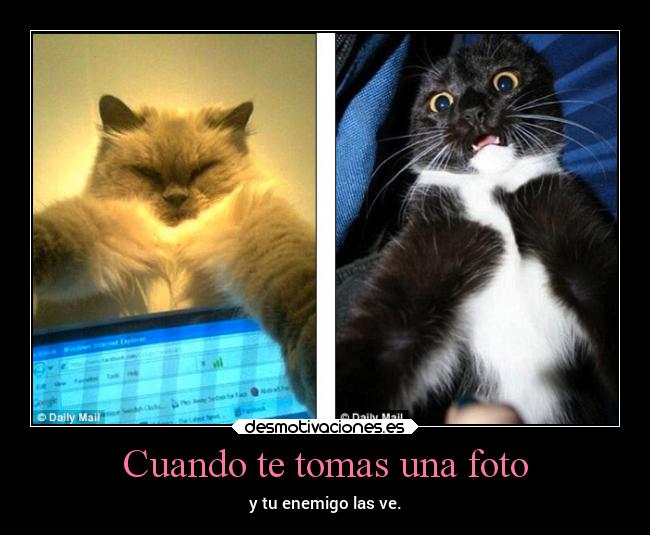 Cuando te tomas una foto - y tu enemigo las ve.