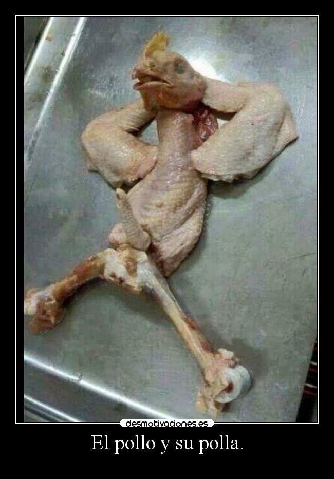 El pollo y su polla. - 