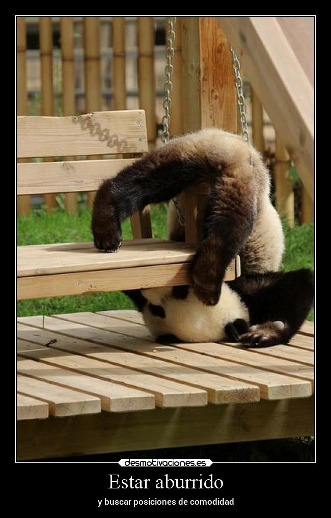 carteles animales naturaleza dormir desmotivaciones