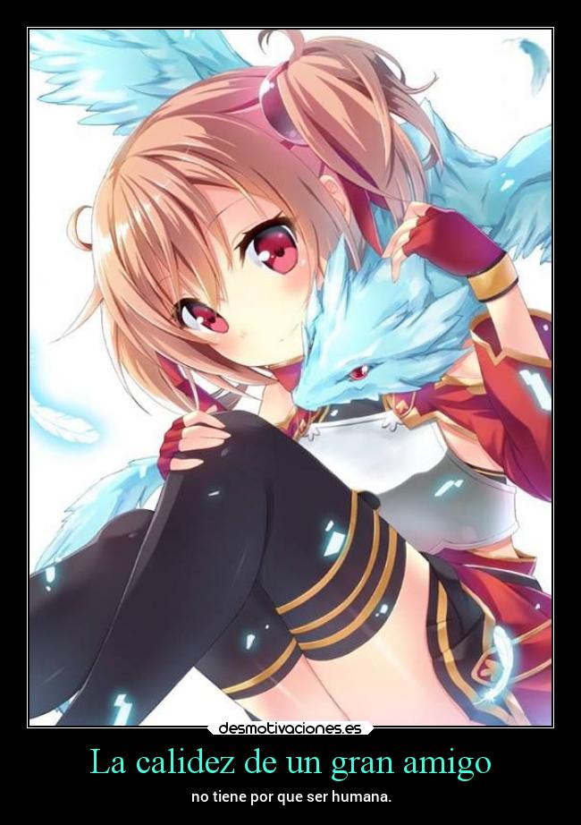 La calidez de un gran amigo - 
