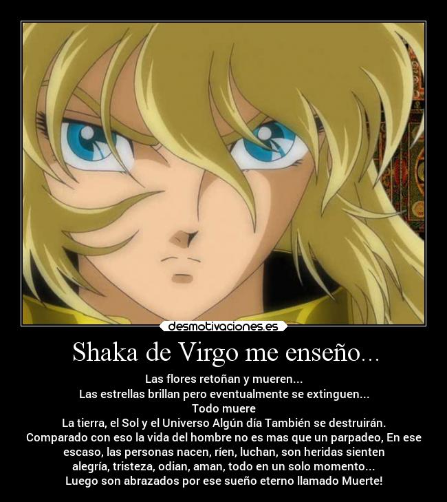 Shaka de Virgo me enseño... - 