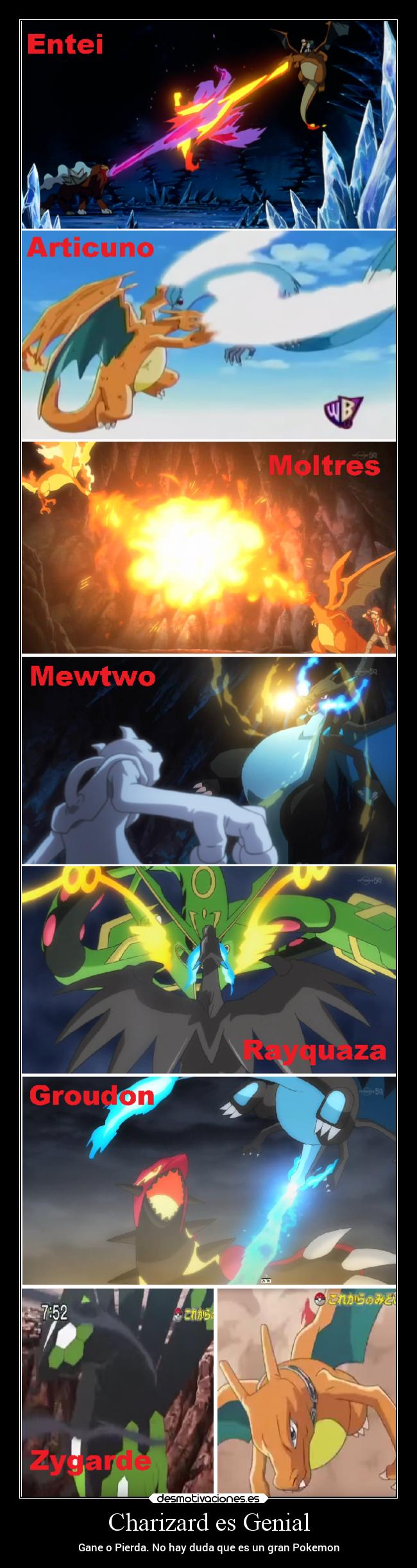 Charizard es Genial - 