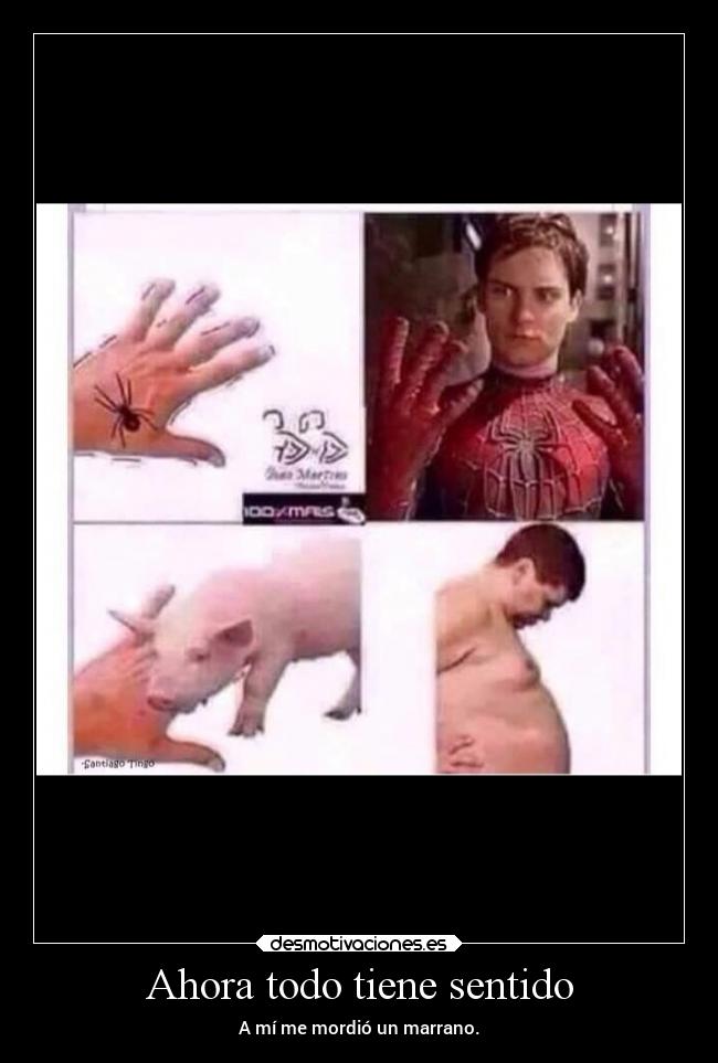 Ahora todo tiene sentido - A mí me mordió un marrano.