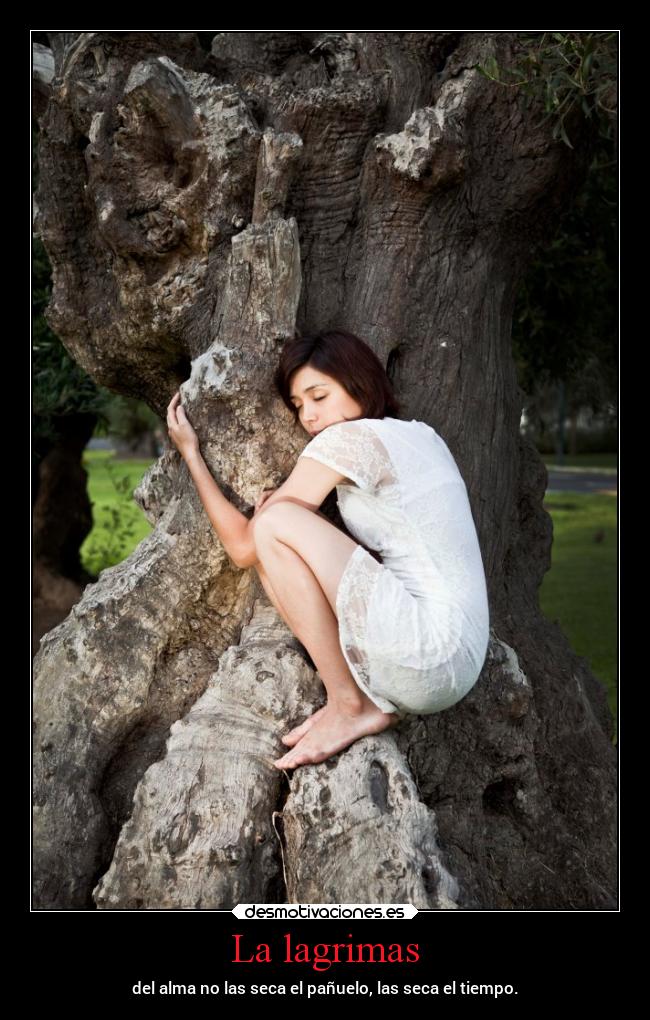 La lagrimas - del alma no las seca el pañuelo, las seca el tiempo.