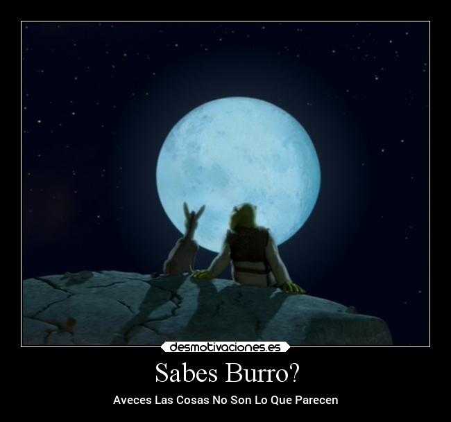 Sabes Burro? - 
