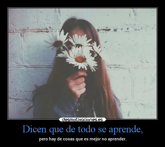 Dicen que de todo se aprende, -
