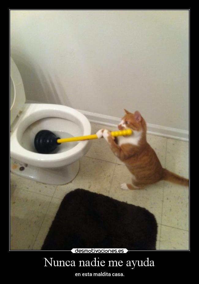 Nunca nadie me ayuda - 