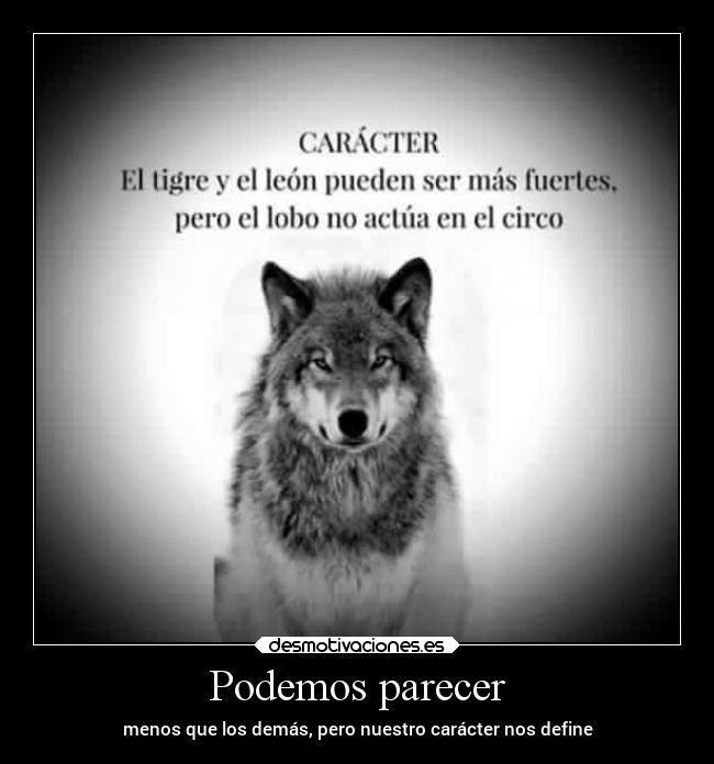 Podemos parecer - 