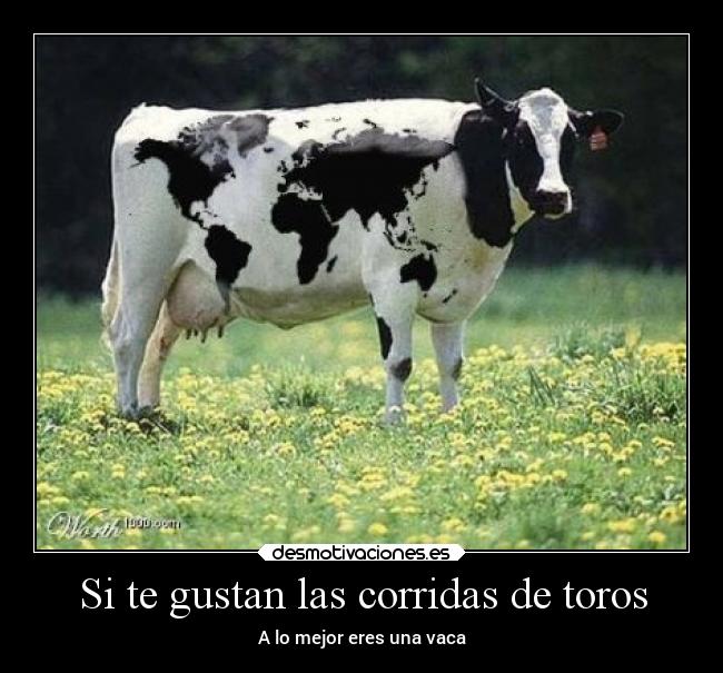 Si te gustan las corridas de toros - A lo mejor eres una vaca