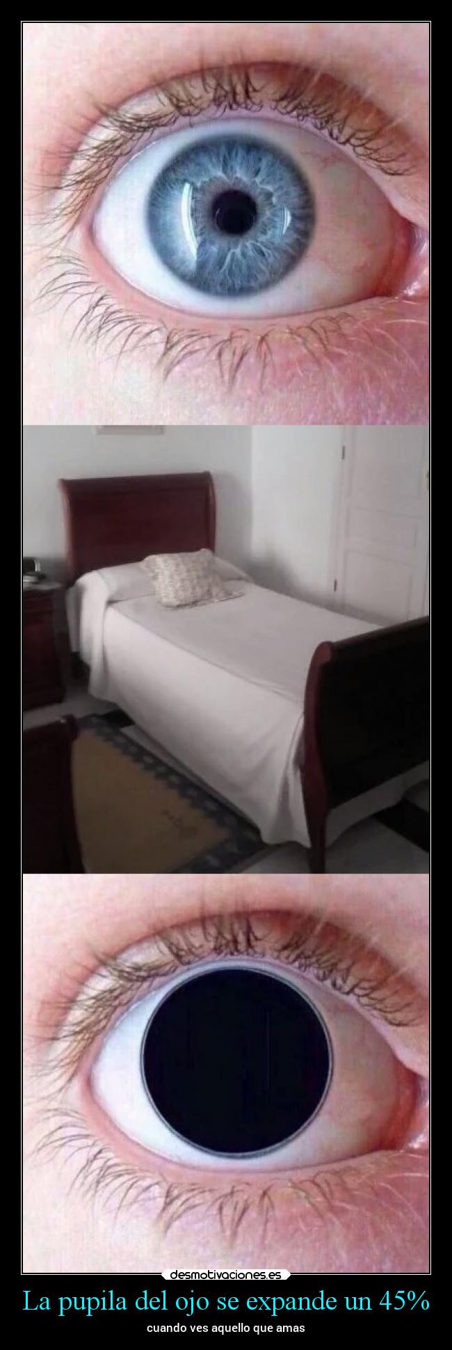 La pupila del ojo se expande un 45% - cuando ves aquello que amas