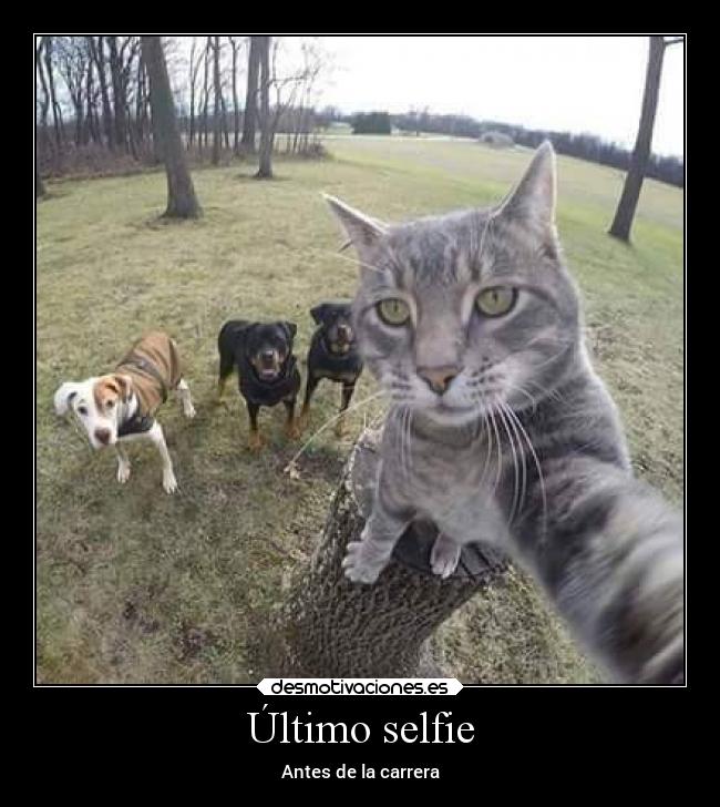 Último selfie -