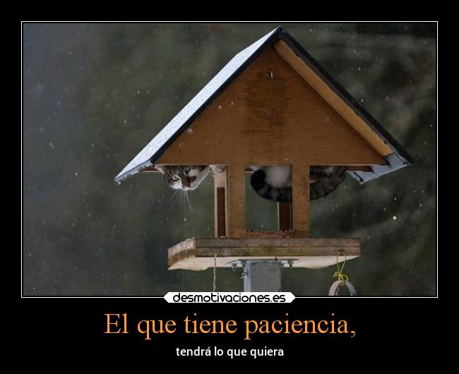 El que tiene paciencia, -