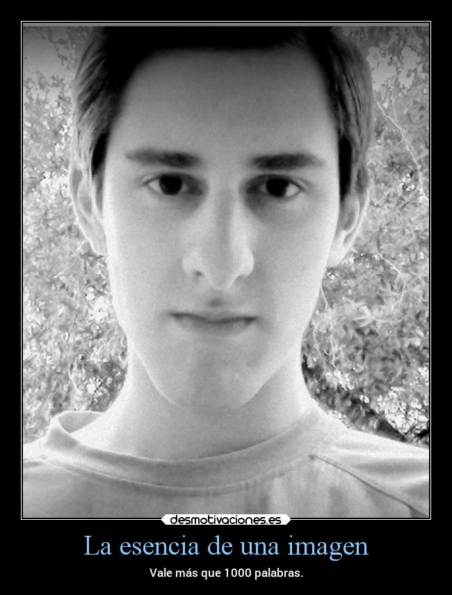 La esencia de una imagen -